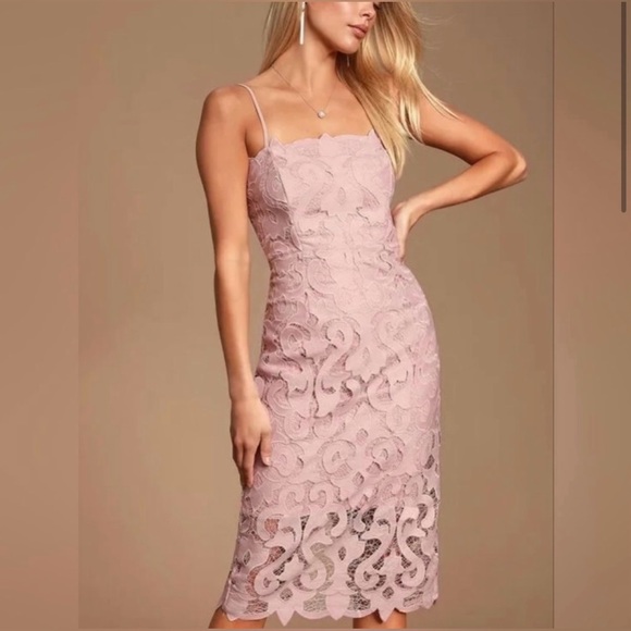 Bardot Lina Lace Sheath
Midi Dress ~ Pink Rose - Picture 3 of 7